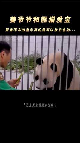 当熊猫“爱宝”遇上姜爷爷，原来不幸的童年真的可以被治愈