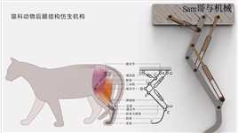 猫科动物后腿机构#机械 #机械设计 .mp4

