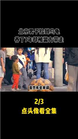 北京男子捡到乌龟，养7年才发现有问题，警方得知后立马将其带走#乌龟#真实事件#科普一下 (2)