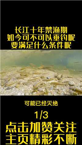 长江全面禁渔十年，那么长江可以钓鱼吗，需要满足什么条件呢。钓鱼涨知识鱼群 (1)