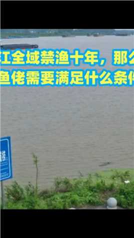 长江全面禁渔十年，那么长江可以钓鱼吗，需要满足什么条件呢。钓鱼涨知识鱼群 (2)