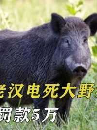 贵州70岁老汉电死大野猪，被判了3年罚款5万，当庭下跪求死#野猪#野生动物#保护动物 (2)