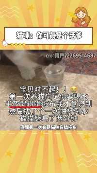 猫咪：野外求生快一年了，终于找到了水