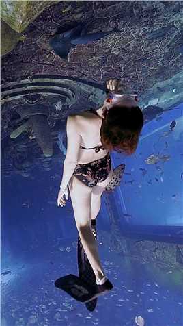 亚特兰蒂斯失落的空间水族馆 #自由潜水 西西 #水下摄影人鱼Bin