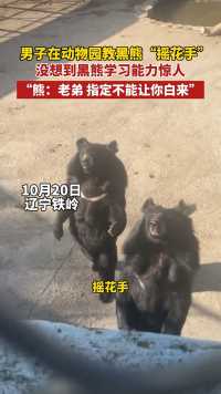 10月20日，辽宁铁岭，男子教黑熊“摇花手”，没想到学习能力惊人，“在东北黑熊也得有绝活”。#动物成精