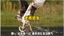 老楞抓鱼有一手！#搞笑动物配音  #神评即是标题 #百万视友赐神评 