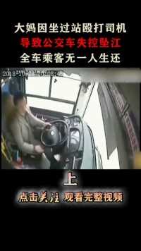 大妈因坐过站疯狂殴打司机，导致公交车坠江，全车乘客无一生还！#重庆坠江公交#殴打司机#坐过站#添加话题 (1)