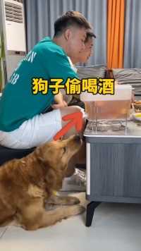 #狗 狗不喝多我都不会走！