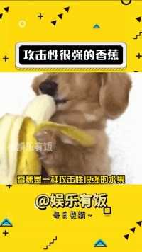 香蕉，一款会把其他食物都变成自己味道的水果,#娱你安利 