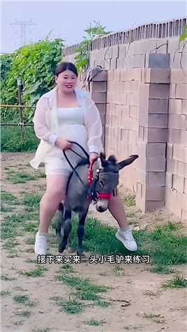 女子骑毛驴