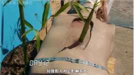 生长的竹子破坏力惊人，据说能穿透人体《流言终结者》