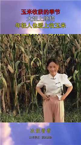 玉米收获的季节，大姐上绝招，年轻人也爱上收玉米！