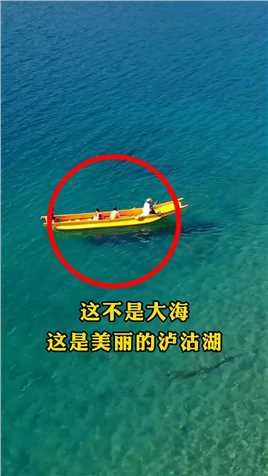 这不是大海是美丽的泸沽湖，如同蓝宝石一样纯净，没去过大海那就来一趟泸沽湖吧#带你看世界#泸沽湖#旅行推荐官