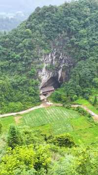 贵州大山天坑底下发现一山洞，里面还住有人家，养鸡种菜世外桃源