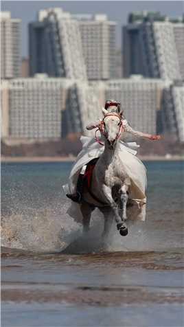-浪漫的海边骑着白马穿着婚纱 在等你