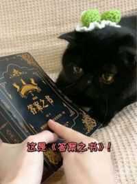 说出你最近纠结的一个问题，或许这本书能告诉你答案！ #答案之书 #黑猫 #我和我的猫102