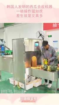 韩国人发明的西瓜去皮机器，一顿操作猛如虎，差生就是文具多