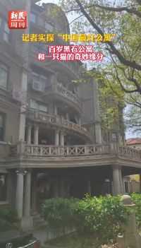 上海黑石公寓和黑猫的缘分