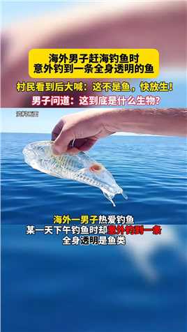 -海外男子钓鱼时意外钓到一条“透明鱼”村民看到后大喊：这不是鱼，快放生！