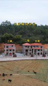 广西乡村三兄弟一起建房，说好挨着建的，为何三弟要离哥哥那么远呢？让人费解啊。