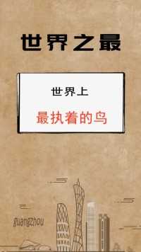 太拼了！为了一口肉互不相让！#傅首尔谈培养许子言式好男人