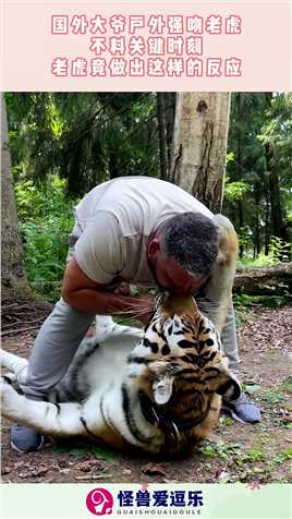 国外大爷户外强吻老虎，不料关键时刻，老虎竟做出这样的反应！#搞笑 #奇趣 #社会 #搞笑段子 