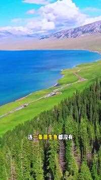 大西洋最后一滴眼泪，赛里木湖，为什么没有鱼？新疆旅游景点，新疆旅游攻略。#旅行推荐官#旅游攻略#赛里木湖#关注我带你去旅行#毕业旅行