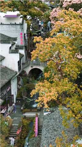 中国的秋天就是从这里开始！这里是婺源篁岭，被评为国内最美村落，听到很多人说过，一生总要来一次婺源吧