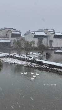 一定要来黄山看看大雪纷飞的江南古村落，一秒带你入徽州！