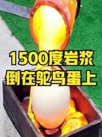 1500度的高温岩浆，倒在鸵鸟蛋上会发生什么？有趣的现象发生了