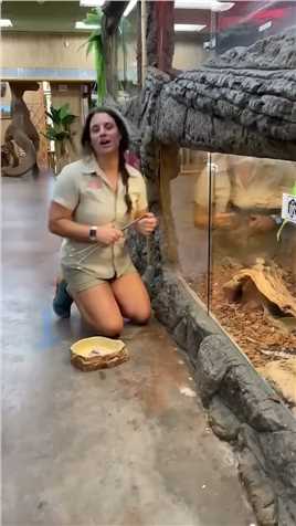 女子喂食蜥蜴