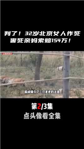 判了！32岁北京女高管在猛虎园区作死，害死亲妈后索赔154万！惊险瞬间老虎吃人惊魂一刻 (2)