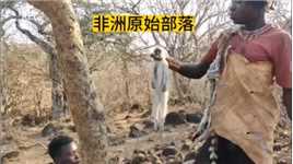 非洲原始部落狩猎猴子#国外合法狩猎勿模仿#野生动物零距离

