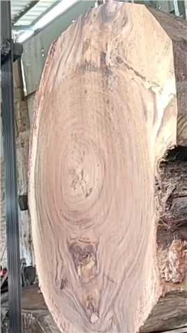 #木头 #木材加工厂