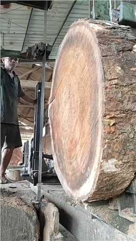 #木头 #高手在民间 #木材加工厂#木头 #高手在民间 #木材加工厂