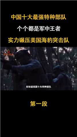 中国十大最强特种部队特种部队中国军人历史故事战争特种兵保家卫国军旅若有战召必回 (1)