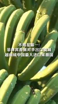 不再是第一!
菲律宾香蕉对华出口锐减越南成中国最大进口来源国