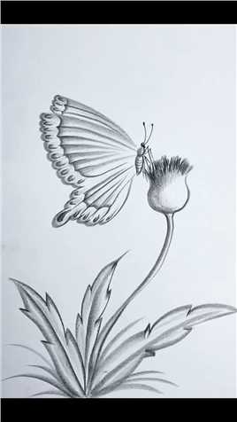 简单画蝴蝶和花卉，喜欢的画笔走起