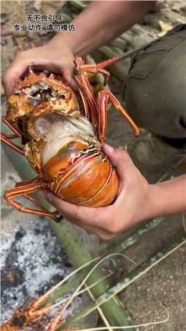 潜入海底收获印尼大龙虾，足足有十几斤重，猜猜一共上了多少好货？第十集