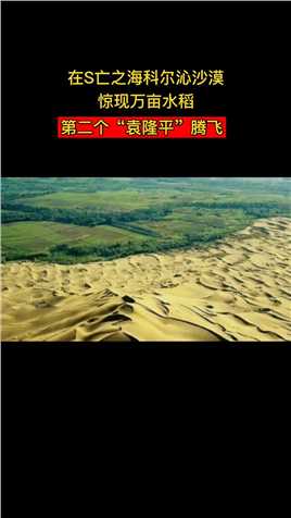 他是zhong国小伙腾飞，在S亡沙漠种出了万亩水稻，再次zheng服不可能，被誉为第二代“袁隆平”，从此沙漠变绿洲！#农业种植技术 #创新 #传递正能量 