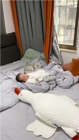 睡着睡着就长大啦！#宠物和孩子 #萌宠