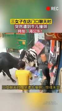 三女子在店门口聊天时
突然遭到牛儿撞倒
网友:海公牛!