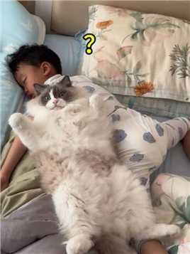我家猫带娃睡觉这一套流程真娴熟… #萌娃和萌宠 #猫和孩子 #布偶猫