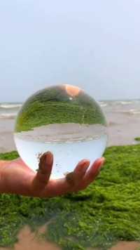 海边赶海抓海鲜，发现了一只水晶球，还有许多奇怪的海洋小生物