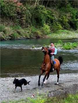 烈马🐴踏征途，忠犬护左右。不酿酒的时候，拥大抱自然，骑骏上马达利，带上爱犬步枪，策马奔腾毛坝河，纵情山水之间！