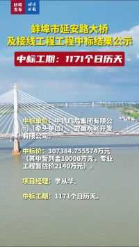 蚌埠市延安路大桥及接线工程工程中标结果公示