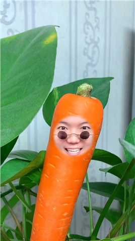 今天变成了一根胡萝卜，又幸福的被吃掉。