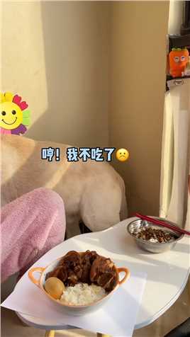  狗子：谁家大米饭配狗粮吃啊😲#萌宠成精了