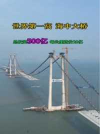 世界第一高海中大桥，总投资500亿，每公里造价20亿，中山去深圳20分钟到达，你觉得过路费定价多少合适呢！
