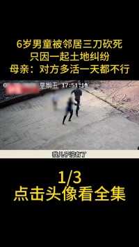 6岁男童被邻居3刀砍死，只因一起土地纠纷，母亲直言对方多活一天都不行#社会百态#邻居#真实事件